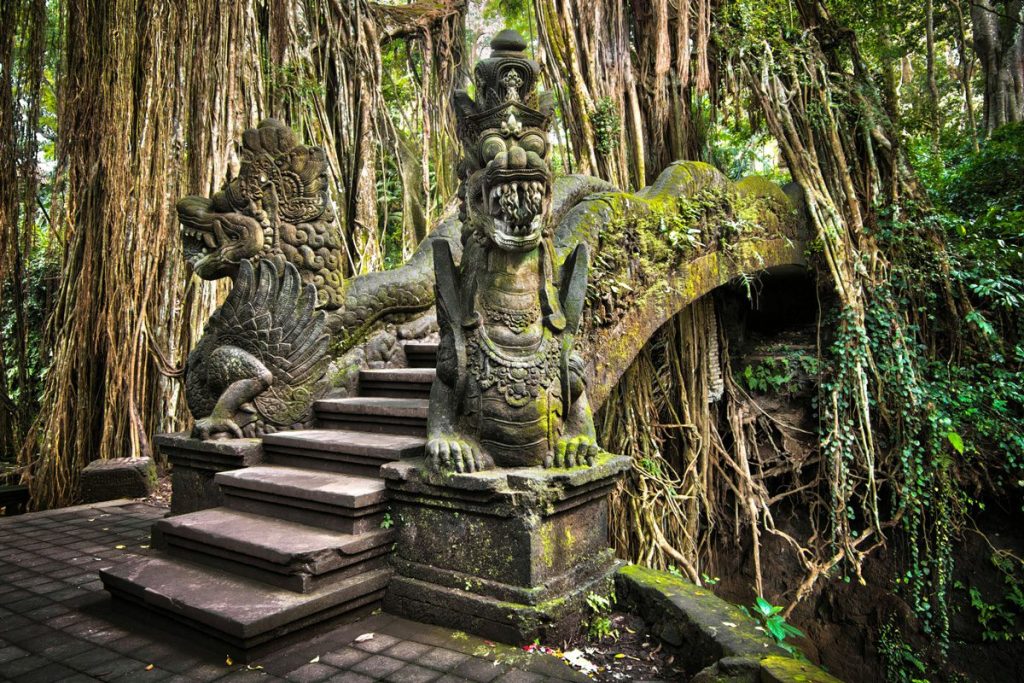 tour package monkey forest