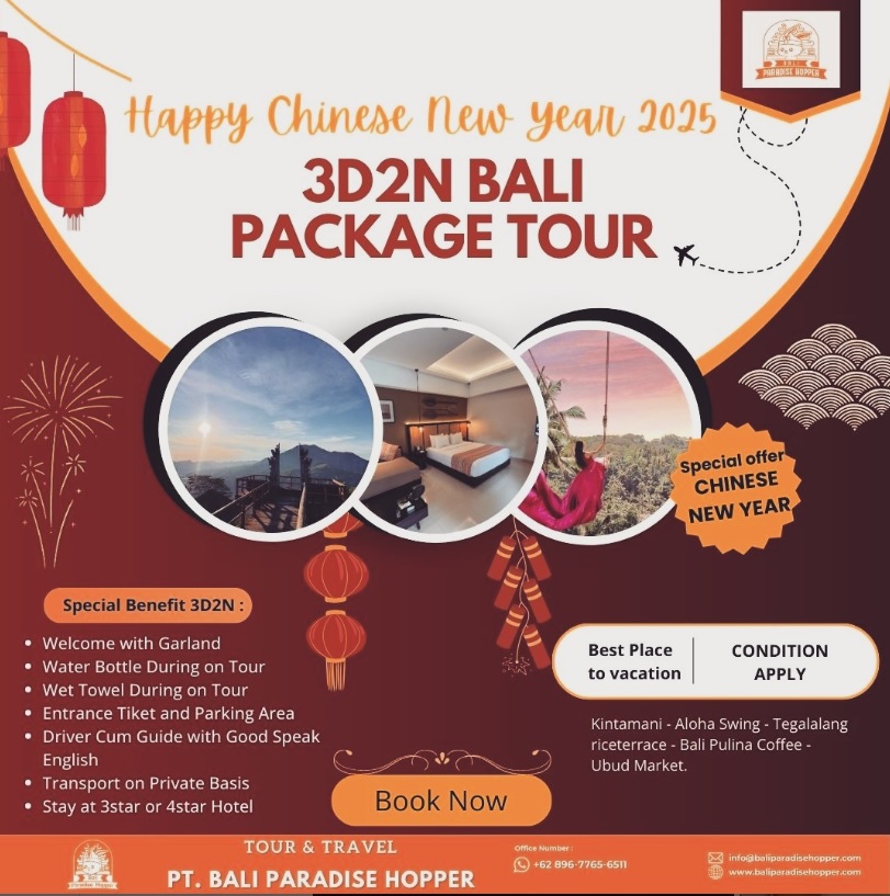 special Chinese new year package